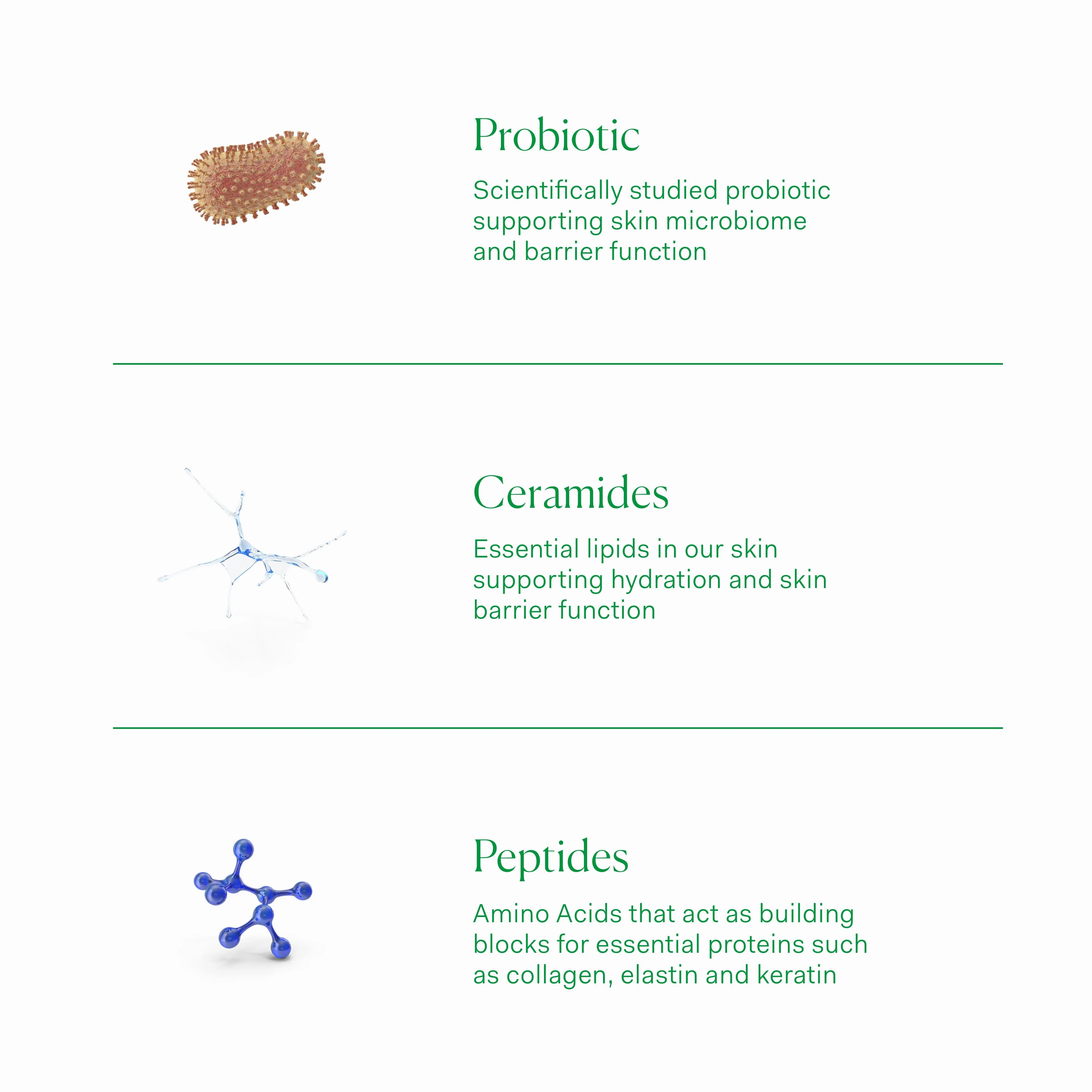 Barrier Culture Moisturizer - Image 5