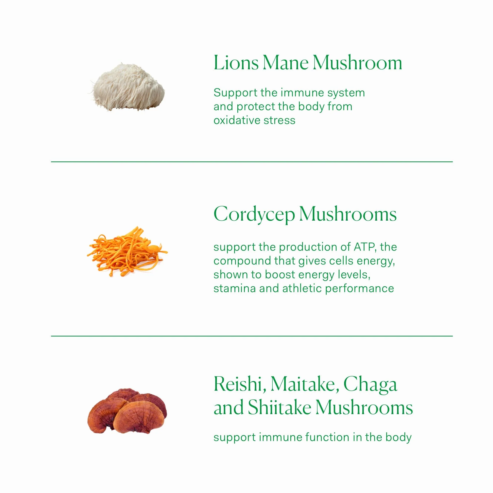 Multi Mushroom Complex - Image 4